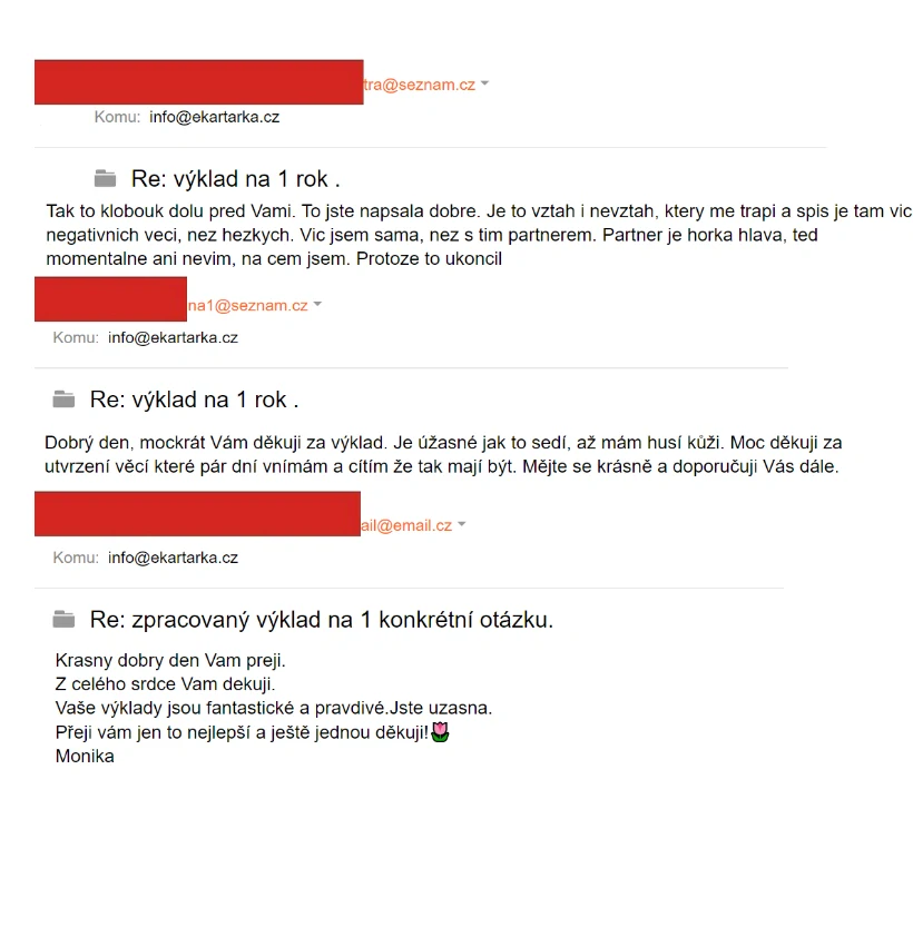 PÍSEMNÝ VÝKLAD NA OBDOBÍ 1 ROK (tedy od dne výkladu na 12 měsíců)